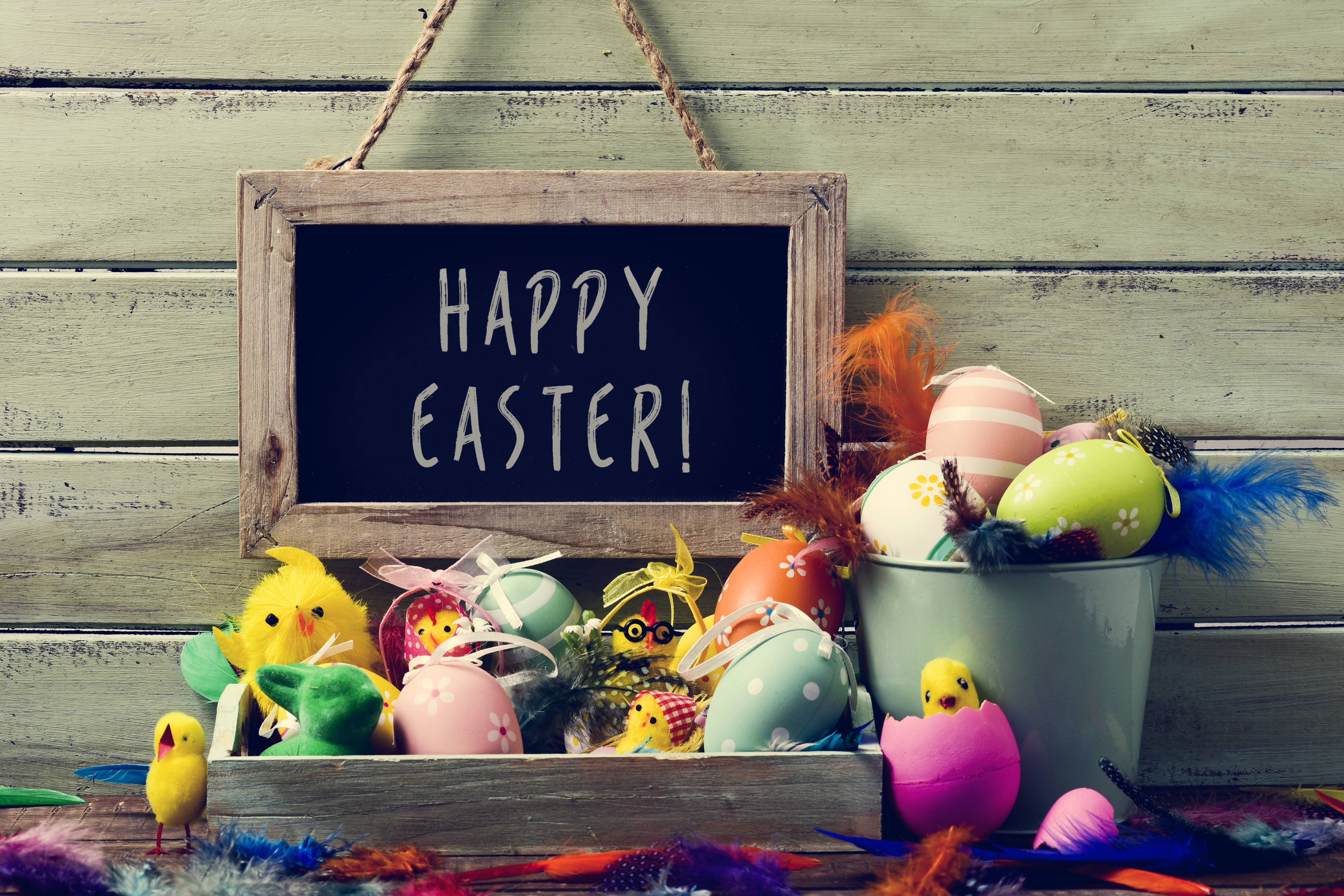 Shutterstock 606457385 (1)